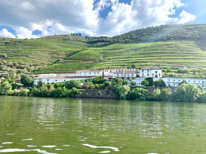 Douro Valley Tour With 2 Wine Tastings Included - Experience Highlights