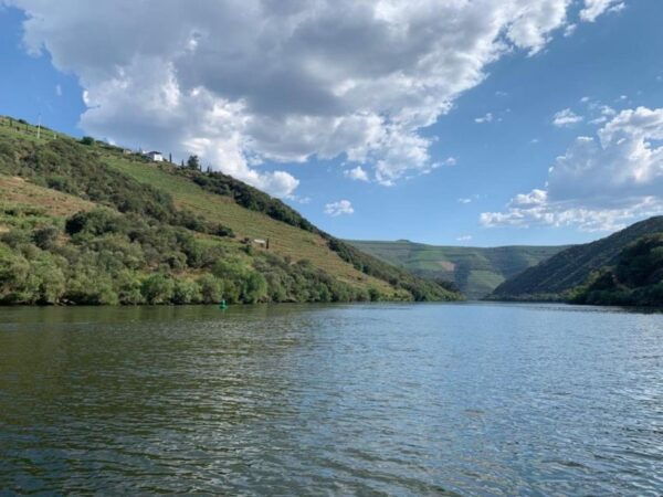 Douro Valley Tour With 2 Wine Tastings Included - Activity Inclusions