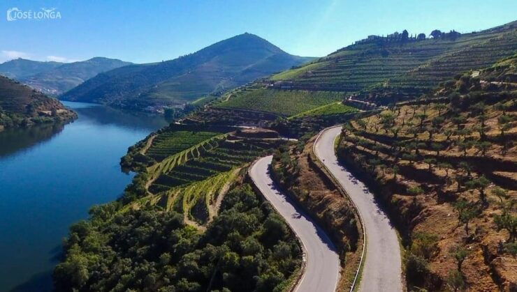 Douro Valley: Tour With 2 Wineries, Lunch and Tastings. - Itinerary Highlights