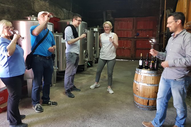 Douro Valley Tour With Visit to Two Vineyards, River Cruise and Lunch at Winery - Tour Highlights