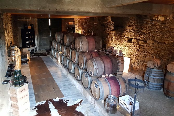 Douro Valley Tour With Visit to Two Vineyards, River Cruise and Lunch at Winery - Vineyard Visits