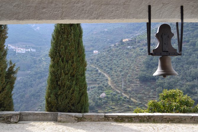 Douro Valley Tour With Visit to Two Vineyards, River Cruise and Lunch at Winery - Lunch at Winery