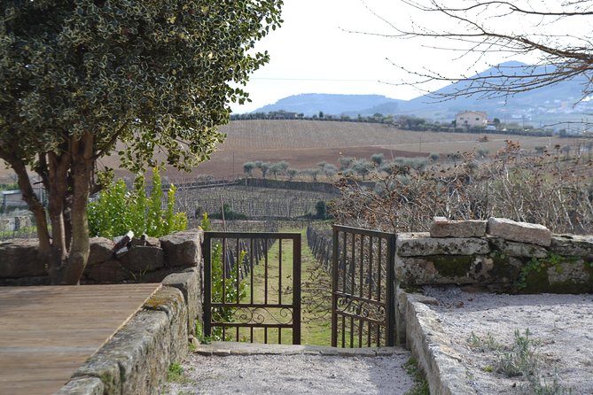 Douro Valley Tour With Visit to Two Vineyards, River Cruise and Lunch at Winery - Tasting Experience