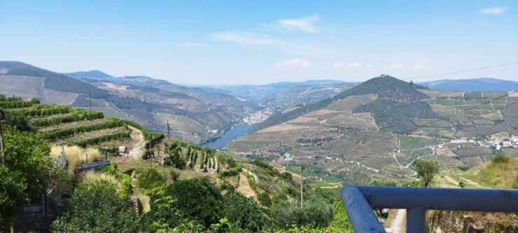 Douro Valley Tour With Wine Tasting Boat Cruise & Suprises.. - Good To Know