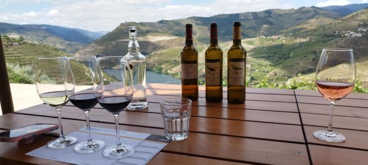 Douro Valley Tour With Wine Tasting Boat Cruise & Suprises.. - Tour Overview