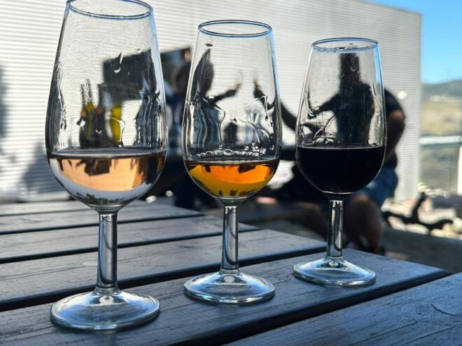 Douro Valley Tour With Wine Tasting Boat Cruise & Suprises.. - Cancellation Policy