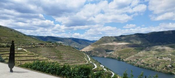 Douro Valley Tour With Wine Tasting Boat Cruise & Suprises.. - Frequently Asked Questions