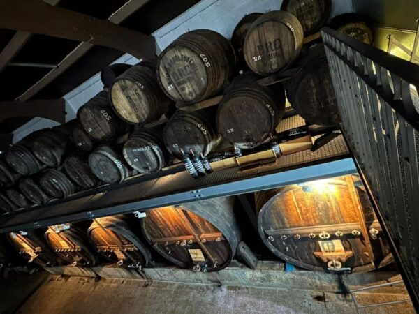 Douro Valley Tour With Wine Tasting Boat Cruise & Suprises.. - The Sum Up