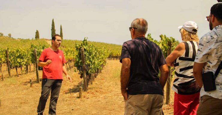 Douro Valley: Tour With Wine Tastings, Cruise, and Lunch - Tour Highlights