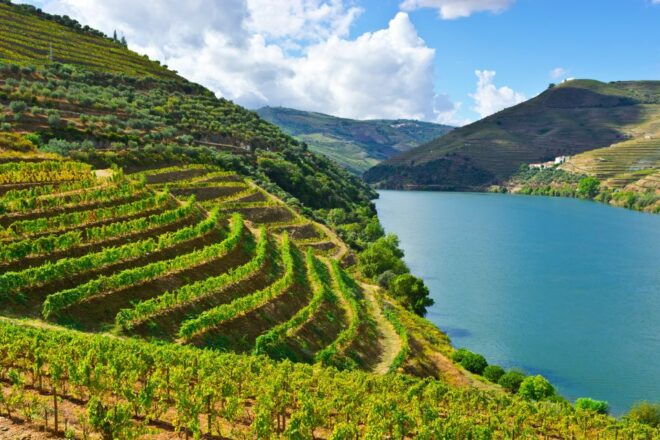 Douro Valley: Tour With Wine Tastings, Cruise, and Lunch - Customer Reviews