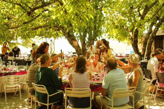Douro Valley: Tour With Wine Tastings, Cruise, and Lunch - Wine Tasting Experience