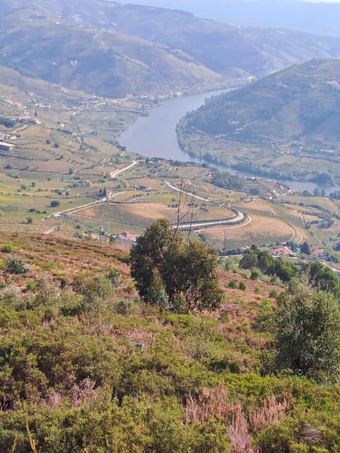 Douro Valley Tours, Braga Guimarães, Santiago Compostela - Good To Know