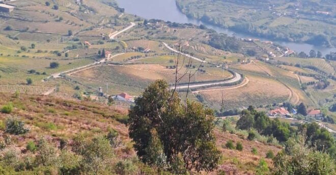 Douro Valley Tours, Braga Guimarães, Santiago Compostela - Experienced Team