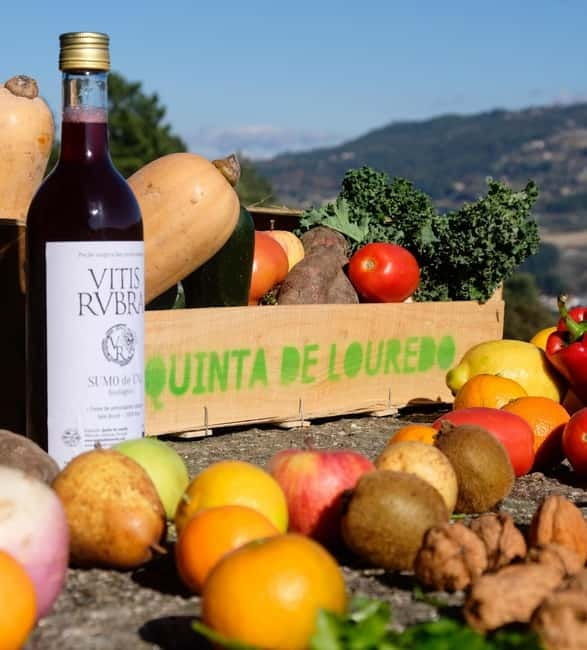 Douro Valley: Traditional Cooking Class, Farm Tour & Lunch - Discover the Douro Valley: A Hands-On Cooking, Farm Tour & Lunch Experience