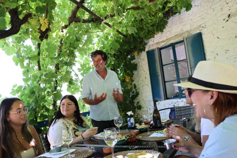 Douro Valley: Visit 2 Wineries with lunch, and 1-Hour Cruise - The Sum Up