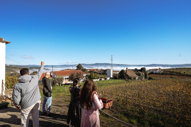 DOURO VALLEY W/ 2 Small Wineries 1h Typical Boat Cruise Lunch - Enjoy a Typical Lunch Experience