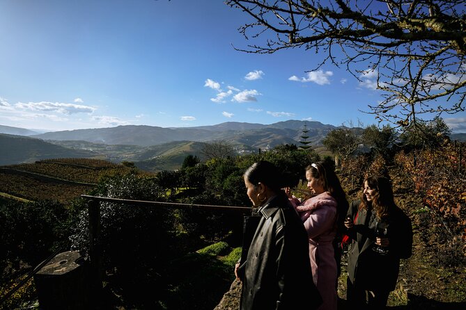 DOURO VALLEY W/ 2 Small Wineries 1h Typical Boat Cruise Lunch - Positive Traveler Experiences and Reviews