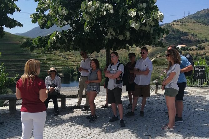 DOURO VALLEY W/ 2 Small Wineries 1h Typical Boat Cruise Lunch - Douro Valley Highlights: Terraces, Vineyards, and Port Wine Tour