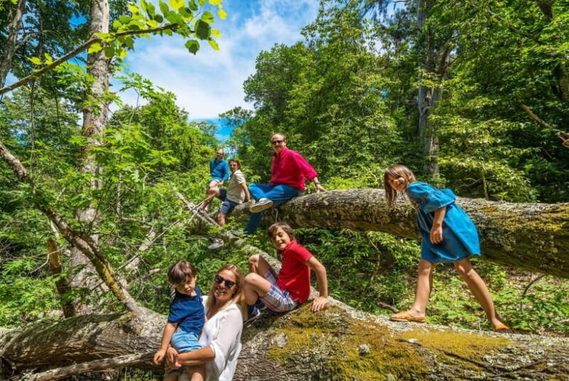 Douro Valley: Walk Through The Vineyards And Woods - Introduction: A Relaxed Journey into Nature and Heritage