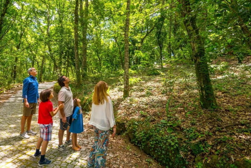 Douro Valley: Walk Through The Vineyards And Woods - Who Will Enjoy This Tour?