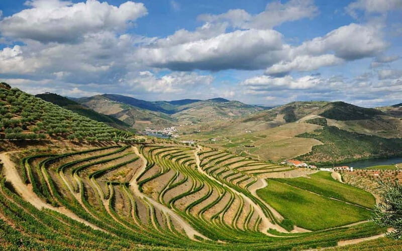 Douro Valley: Wine & Chocolate Tour in the Wine Region - A Closer Look at What to Expect from This Douro Valley Tour