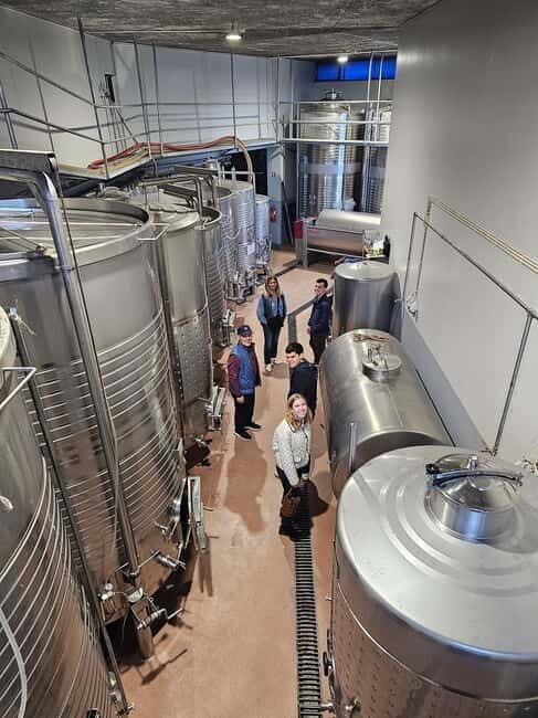 Douro Valley: Wine, History, and Ferdinand Magellan Tour - Good To Know