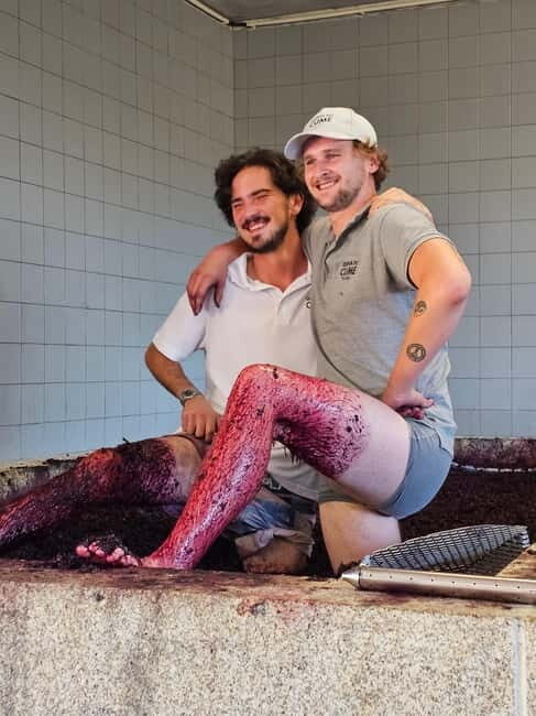 Douro Valley: Wine, History, and Ferdinand Magellan Tour - A Deep Dive Into the Douro Valley Tour Experience