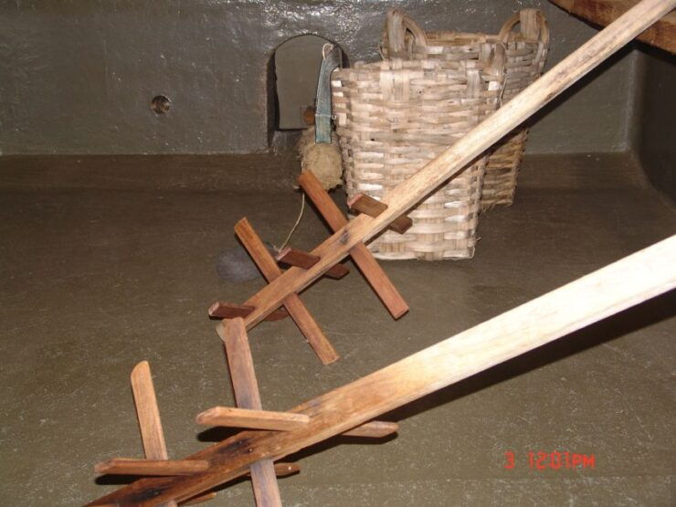 Douro Valley Wine Road Trip, 2 Vineyards Lunch River Cruise - Wine Tasting at Award-Winning Vineyards