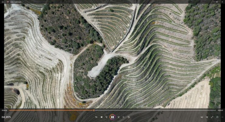 Douro Valley Wine Road Trip, 2 Vineyards Lunch River Cruise - Scenic River Cruise Experience