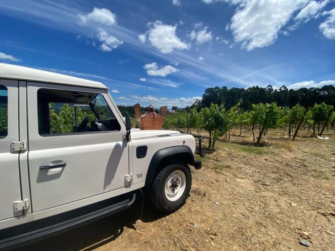 Douro Valley Wine Safari With Wine Tastings and Lunch - Scenic Routes and Landscapes