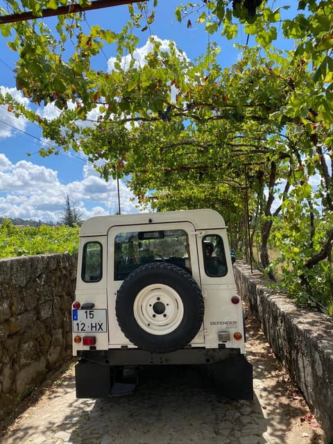 Douro Valley Wine Safari With Wine Tastings and Lunch - Transportation and Group Details