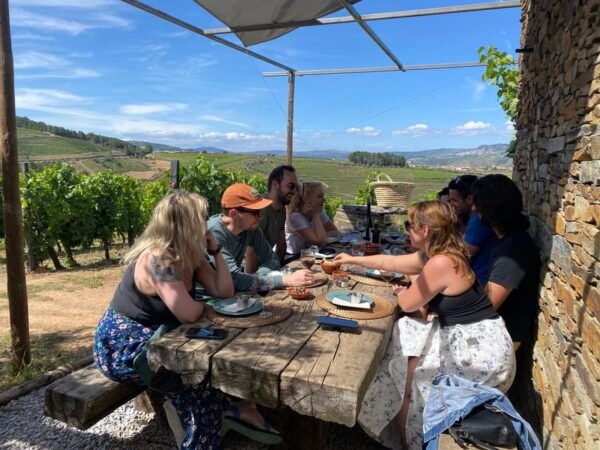 Douro Valley Wine Safari With Wine Tastings and Lunch - Additional Information