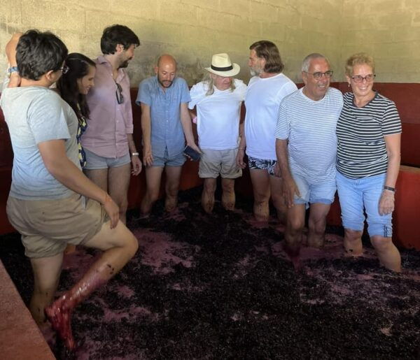 Douro Valley Wine Safari With Wine Tastings and Lunch - Frequently Asked Questions