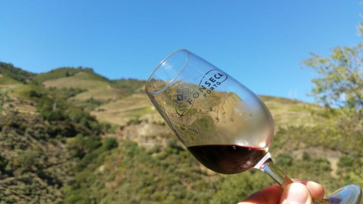 Douro Valley Wine Tasting From Porto - Activity Details