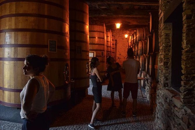 Douro Valley Wine Tour - Scenic Highlights of the Douro Valley