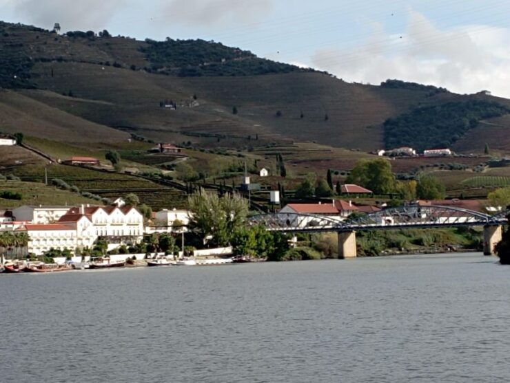 Douro Valley Wine Tour, Lunch River Cruise, 12 Wines Tasting - Full Tour Description