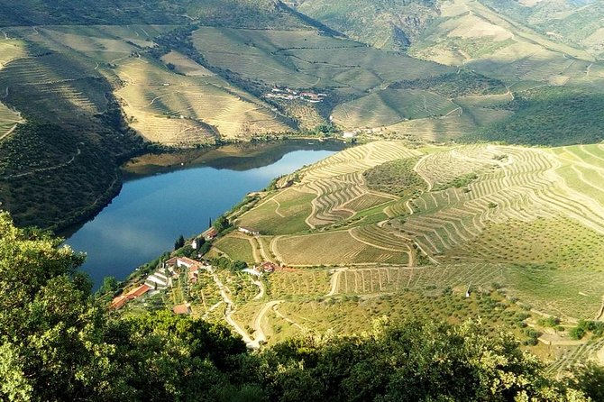 Douro Valley Wine Tour With Friends & Traditional Lunch - Common Questions