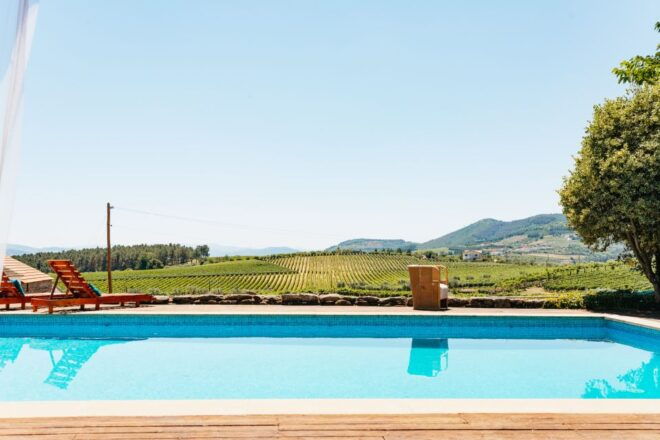 Douro Valley: Wine Tour With Lunch, Tastings & River Cruise - Customer Reviews