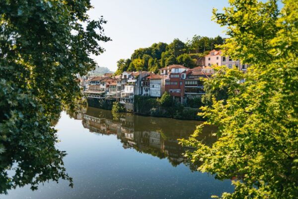Douro Valley: Wine Tour With Lunch, Tastings & River Cruise - Group Size and Reservation