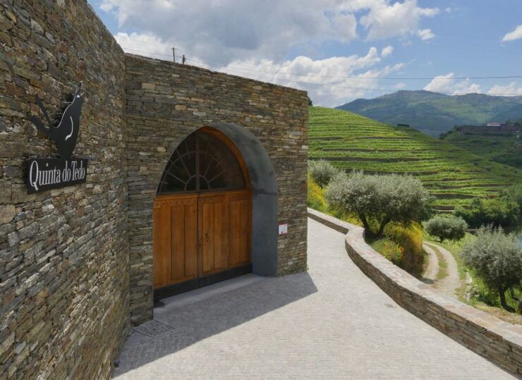 Douro Valley: Winery Tour at Quinta Do Tedo and Tastings - Activity Details