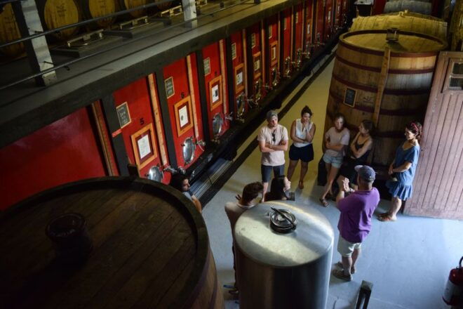 Douro Valley: Winery Tour at Quinta Do Tedo and Tastings - Selecting Participants and Date