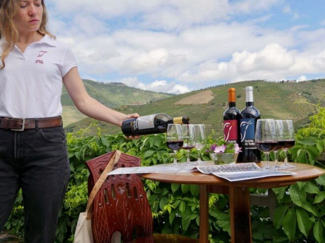 Douro Valley: Winery Tour at Quinta Do Tedo and Tastings - Reserve Now & Pay Later