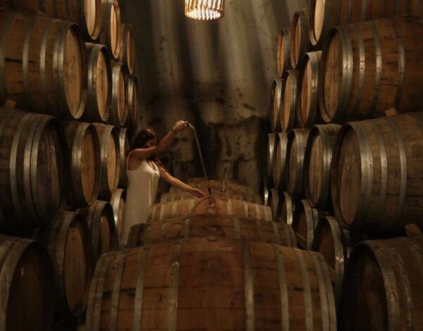 Douro Valley: Winery Tour at Quinta Do Tedo and Tastings - Common Questions