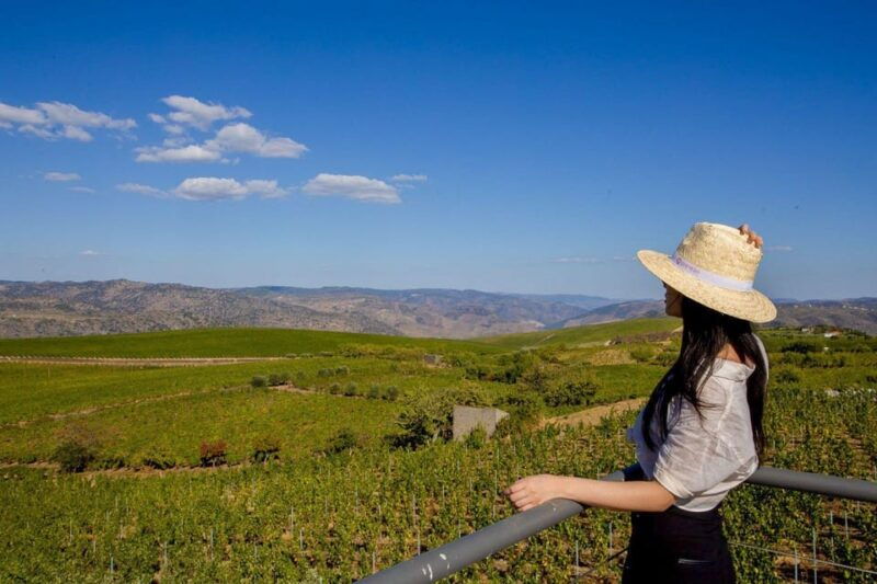 Douro Valley: Winery Visit & Premium Aged Port Wine Tasting - Good To Know
