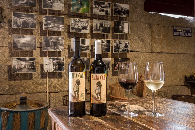Douro & Vinho Verde: Family Wineries Private Tour in Portugal - The Sum Up
