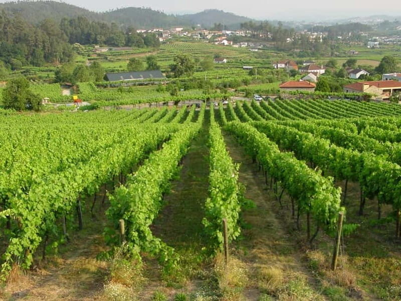 Douro & Vinho Verde Private Tour - Discovering the Heart of Portugal’s Wine Country
