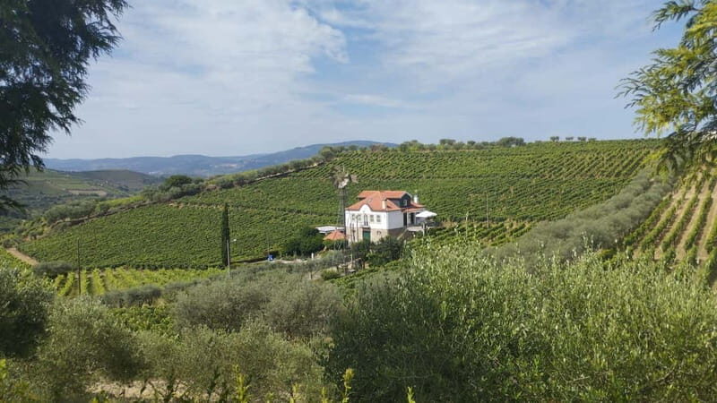 Douro & Vinho Verde Private Tour - Who Will Appreciate This Tour?