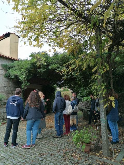 Douro & Vinho Verde Private Tour - Tour Overview