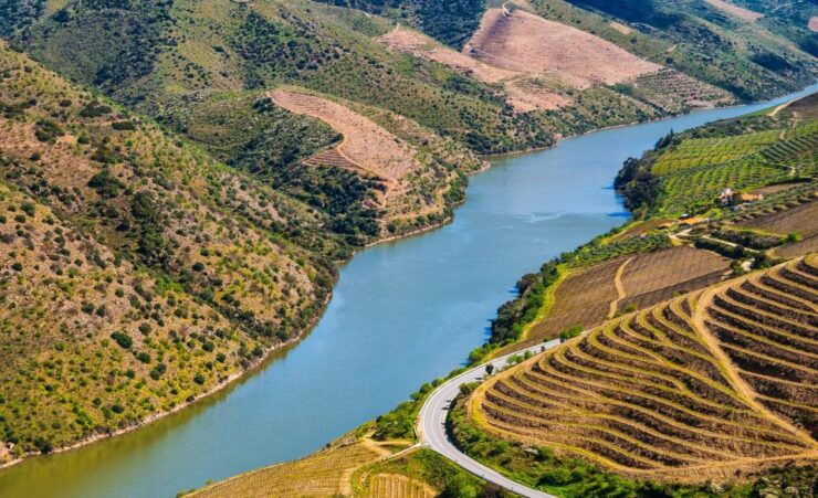 Douro: Wine Tasting and River Cruise Experience - Experience Description