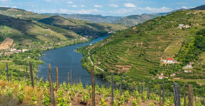 Douro: Wine Tasting and River Cruise Experience - Additional Information